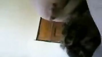 Mature Punjabi Bhabhi Sex - Movies.