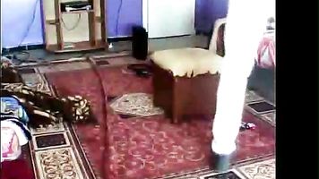 Delhi Punjabi Girl MMS 1 - Movies. video2porn2
