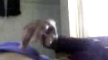 Indian Aunty With Her Young Cousin Enjoying Sex.
