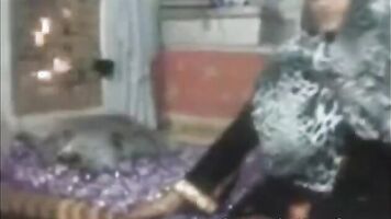 Pakistani Cute Gorgeous Fucked