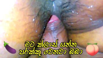 Class cut karala room giya - Sinhala new al girl sex funny sri lankan kello full video clip