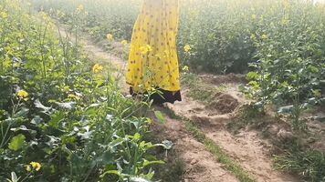 Mamta bhabhi ko khet me le jakar doggystyle me choda outdoor