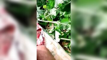 Desi Shop Maid Cheating Sex with Owner at Outdoor Farm